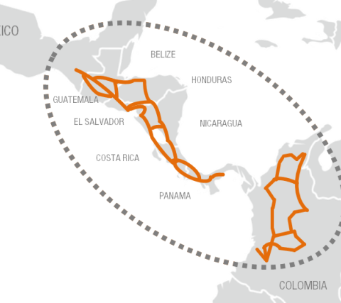 Padtec ilumina mais de 13.000 km de fibras ópticas nas redes de transmissão da UFINET