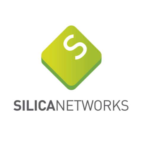 Silica Networks
